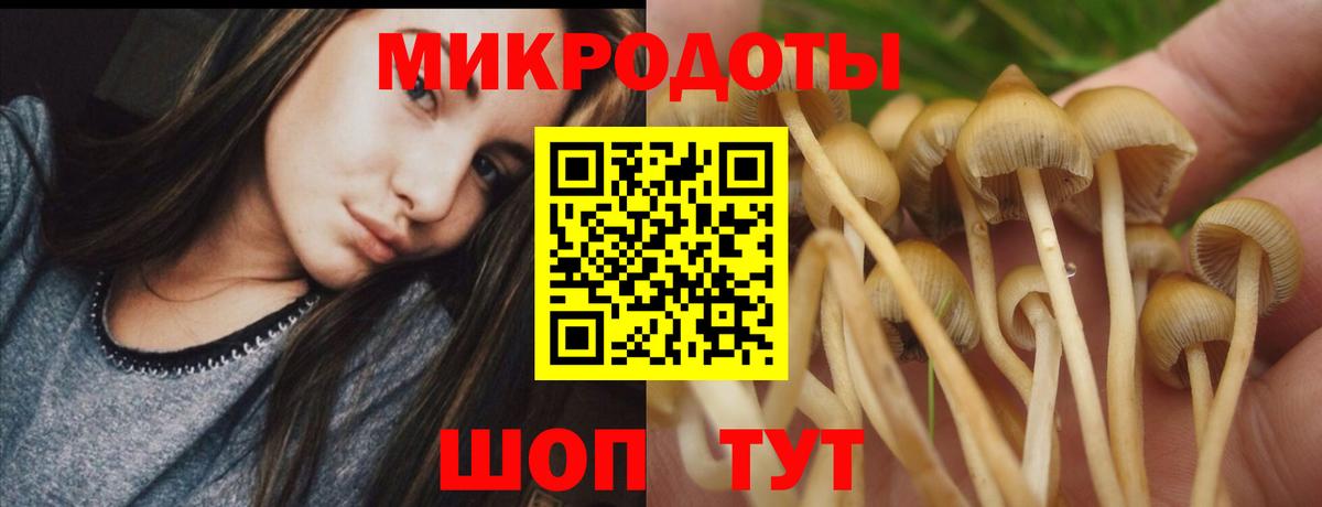Псилоцибиновые грибы GOLDEN TEACHER  Галлюциногенные грибы Cubensis  Вход с VPN  Кингисепп 
